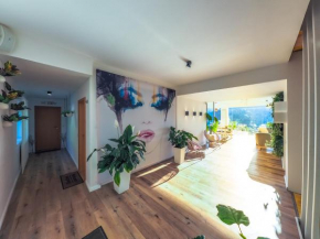  Shard Guest House  Брашов